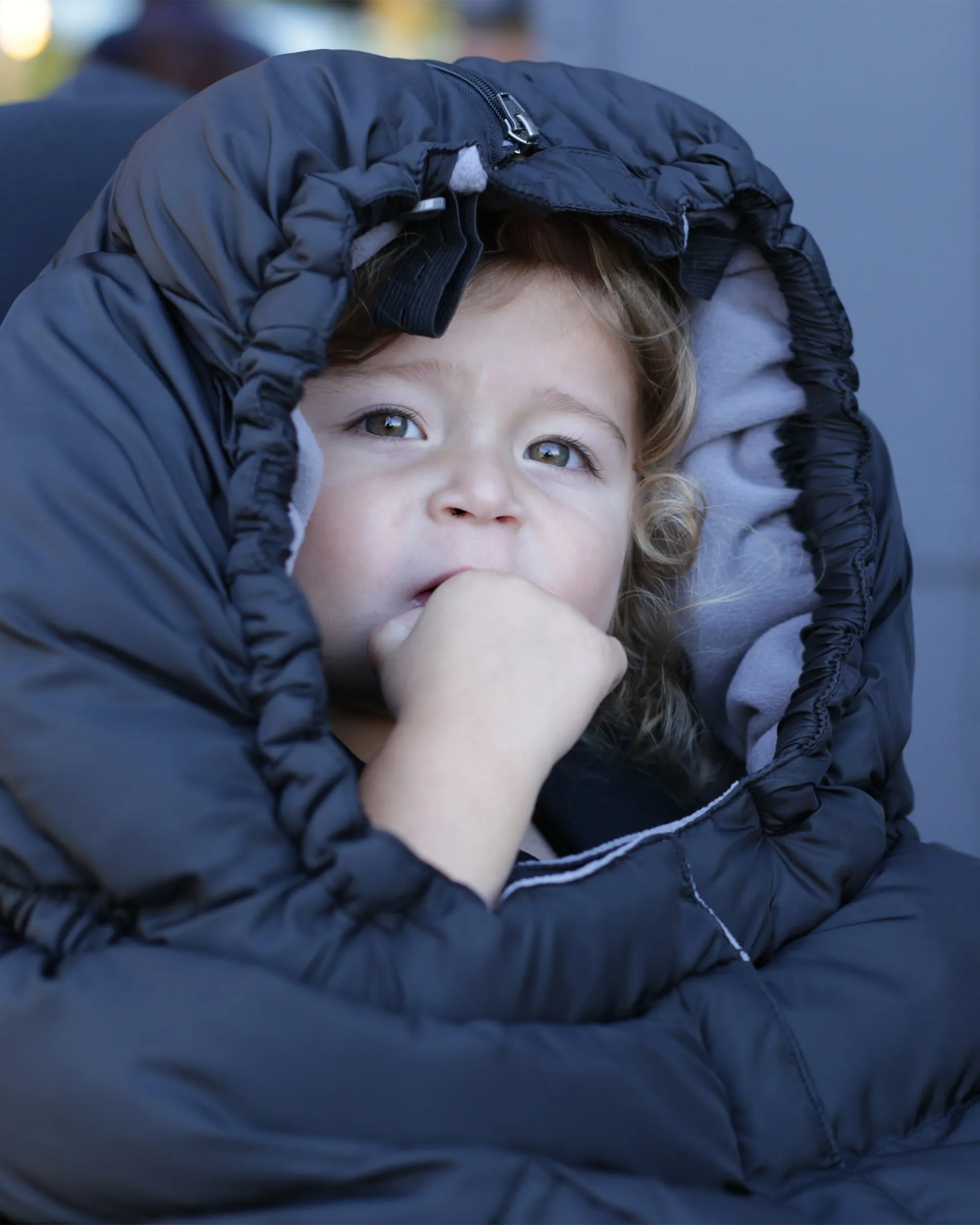 Blanket 212 evolution