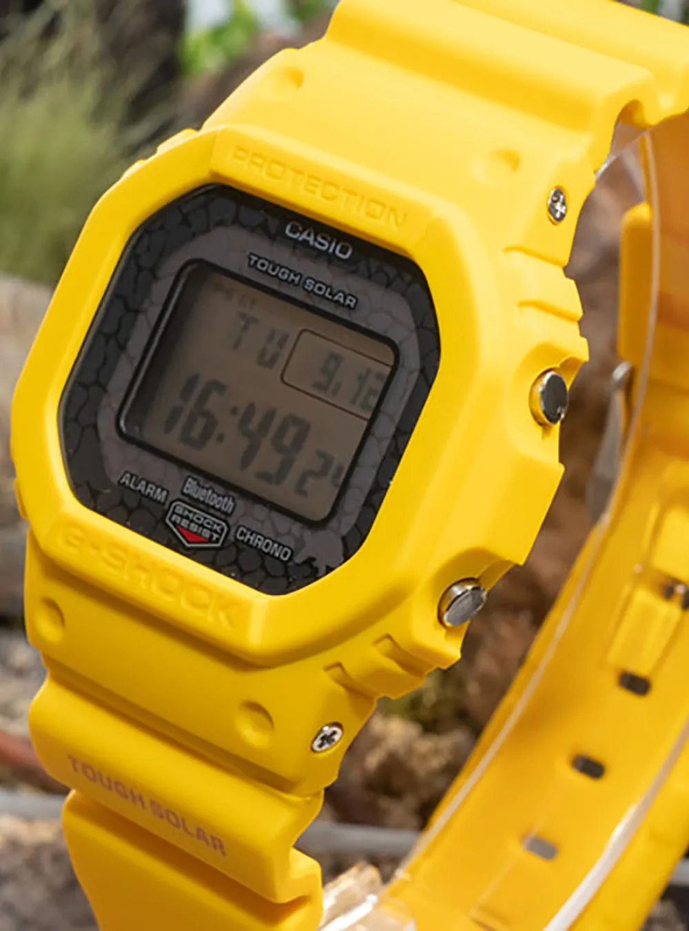 CASIO WATCH G-SHOCK CHARLES DARWIN FOUNDATION COLLABORATION MODELS DIGITAL 5600 SERIES GW-B5600CD JDM