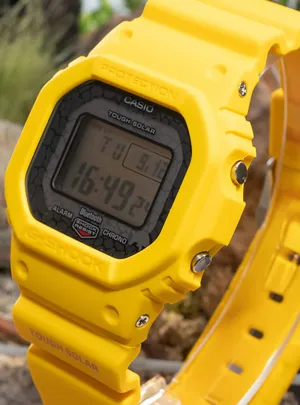 CASIO WATCH G-SHOCK CHARLES DARWIN FOUNDATION COLLABORATION MODELS DIGITAL 5600 SERIES GW-B5600CD JDM