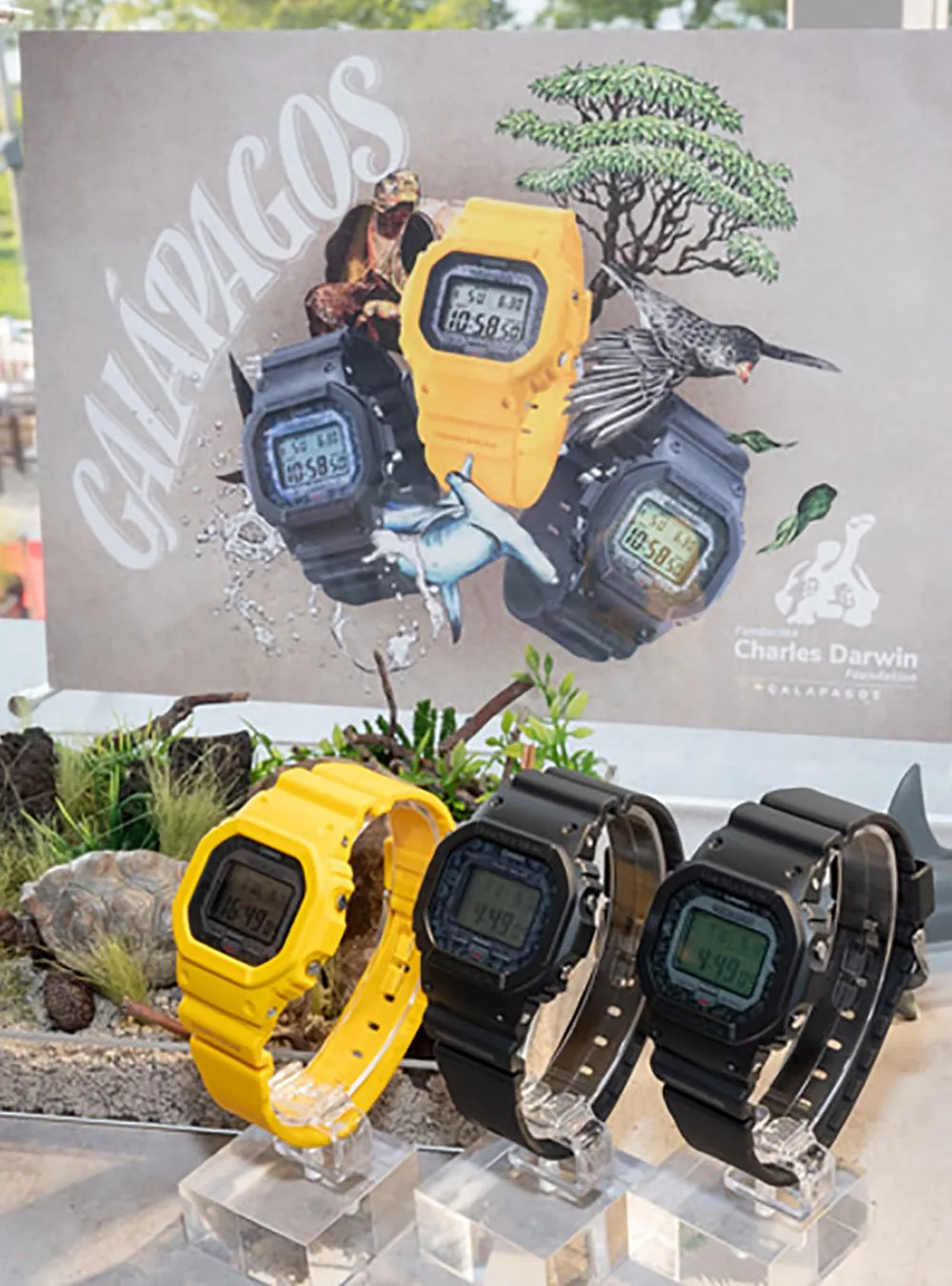 CASIO WATCH G-SHOCK CHARLES DARWIN FOUNDATION COLLABORATION MODELS DIGITAL 5600 SERIES GW-B5600CD JDM