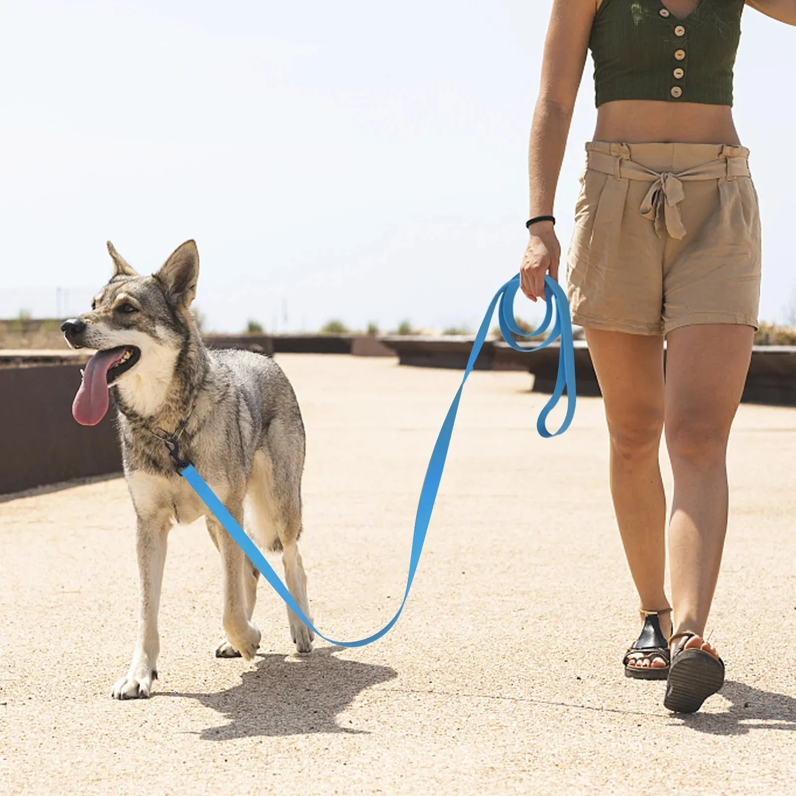 Durable Multicolor PVC Dog Leash