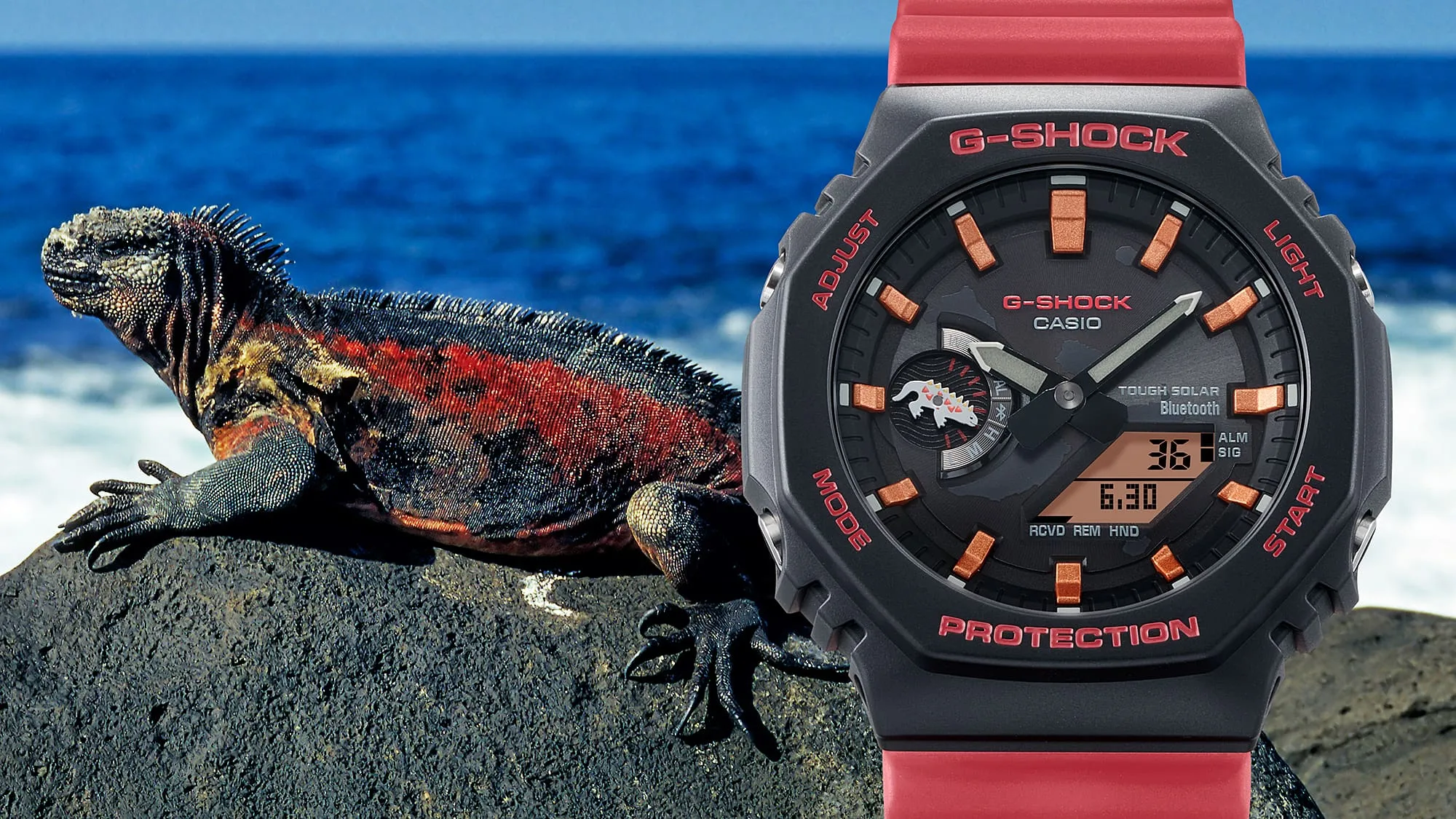 G-Shock Charles Darwin Foundation Galápagos Marine Iguana Black Red Tough Solar Watch GAB2100CD1A4