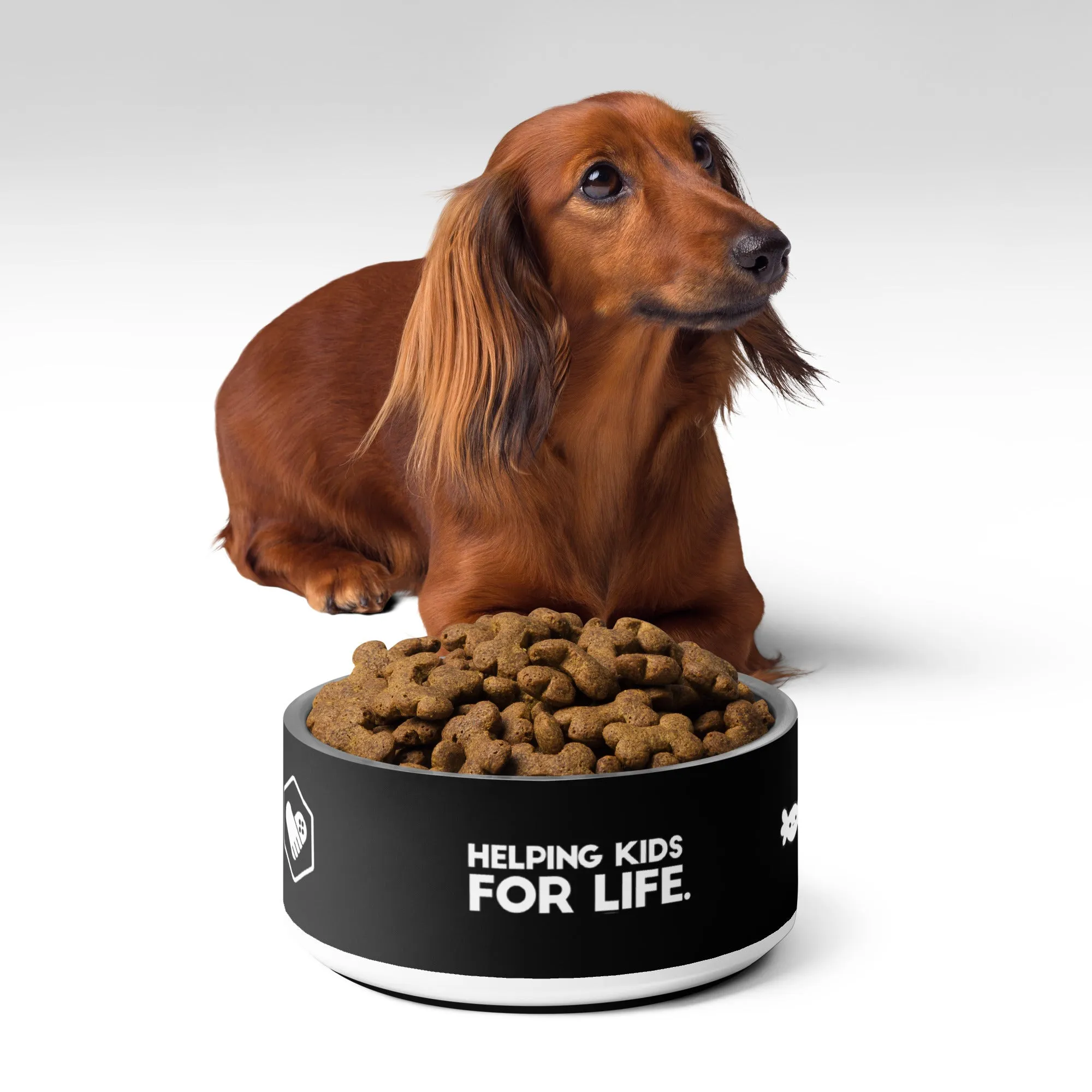 GFL "Helping Kids For Life" Pet Bowl