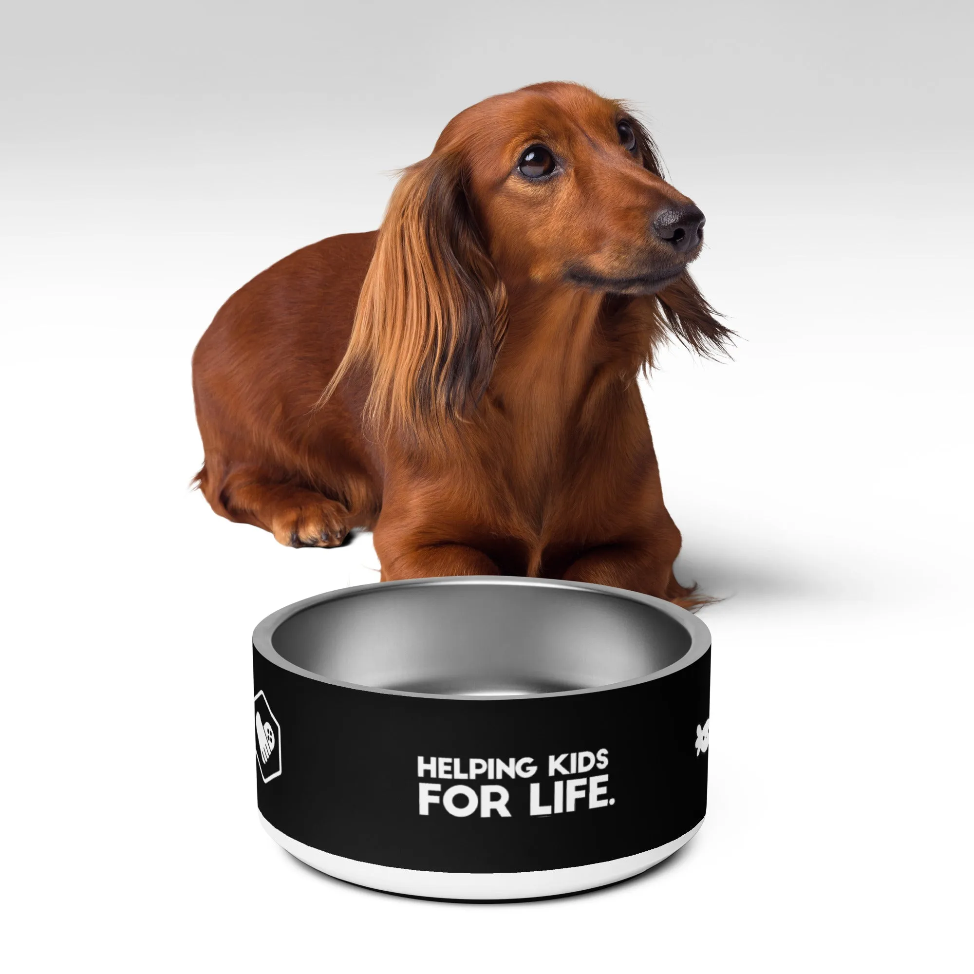 GFL "Helping Kids For Life" Pet Bowl