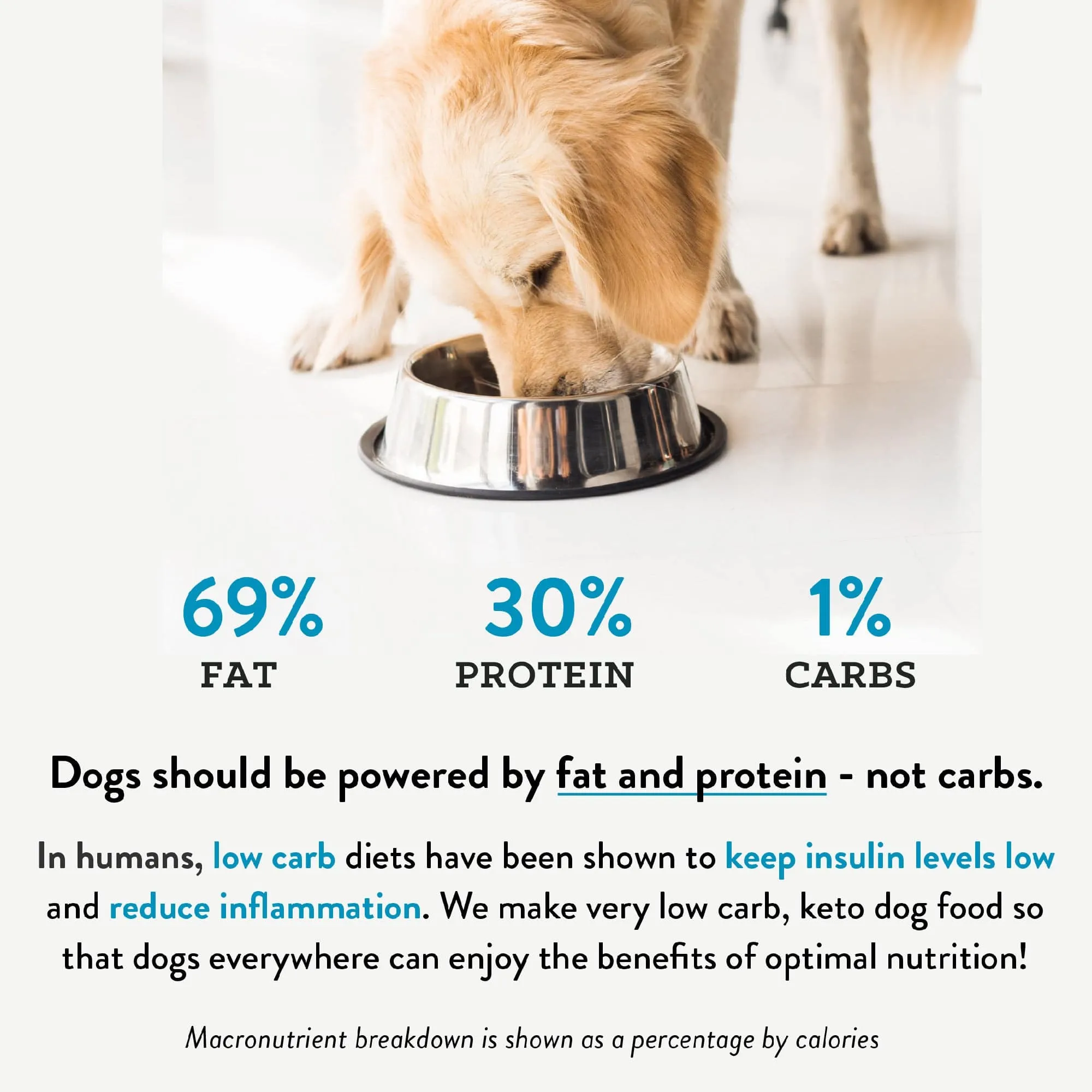Low Carb, High Protein Dog Food - Freeze Dried - Chicken Recipe - 25oz Bag